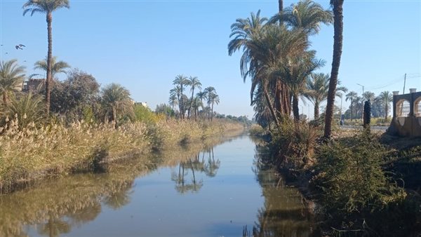 ضخ المياه استجابة