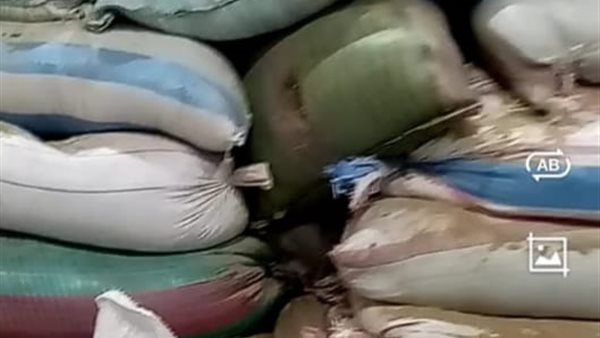 ضبط أعلاف ماشية مجهولة