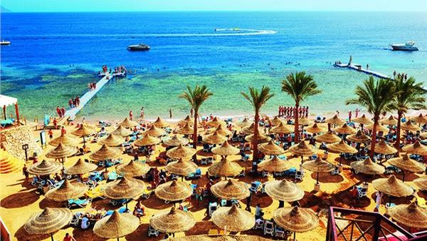 ضبط 72 كيانًا غير