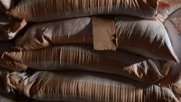 ضبط أعلاف وذرة صفراء