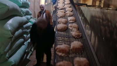 تحرير 9 محاضر متنوعة خلال حملات تموينية بكفر الشيخ 