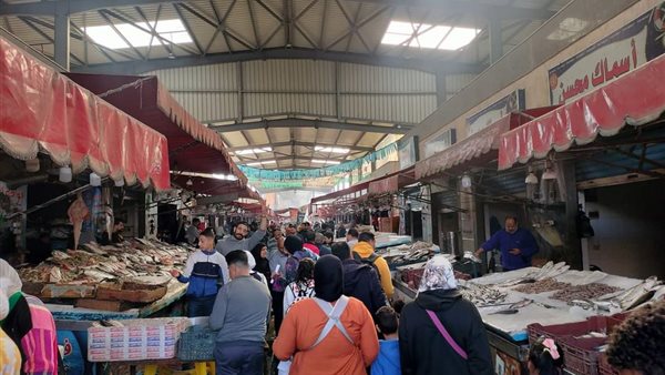 سوق الأسماك ببورسعيد