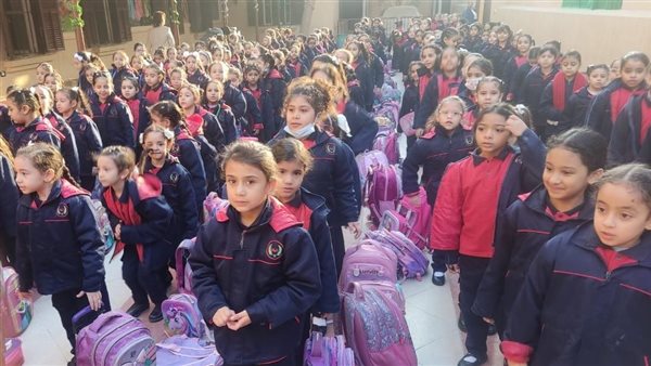 المدارس المصرية -