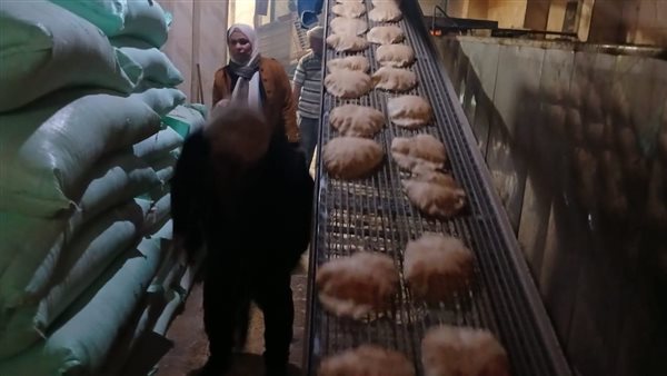 حملة تموينية علي