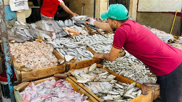 سوق الأسماك في السويس