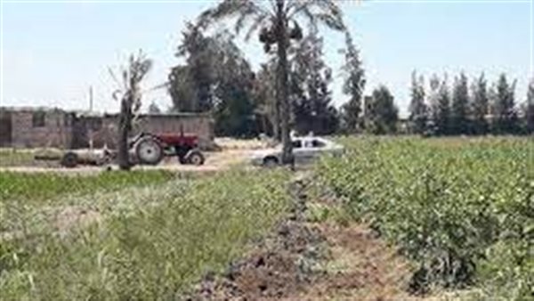 أرض زراعية - أرشيفية