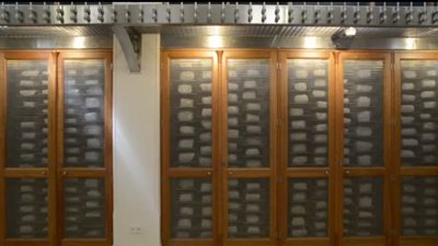 تضم 5 آلاف مخطوط.. مكتبة سانت كاترين من أقدم المكتبات على مستوى العالم 