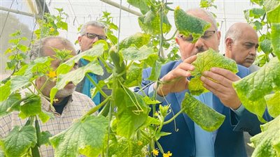 زراعة جامعة قناة السويس تطرح منتجاتها للجمهور بأسعار مخفضة خلال رمضان 