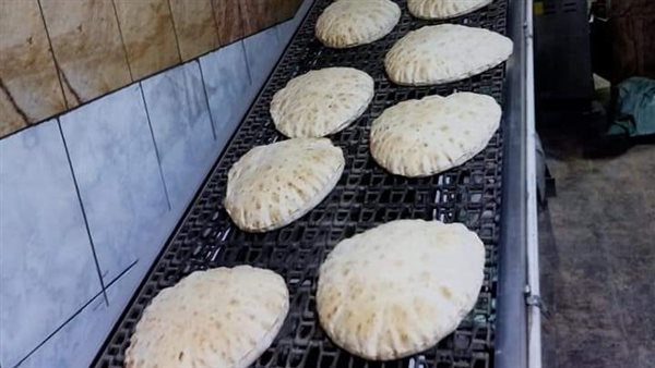 حملة تموينية علي