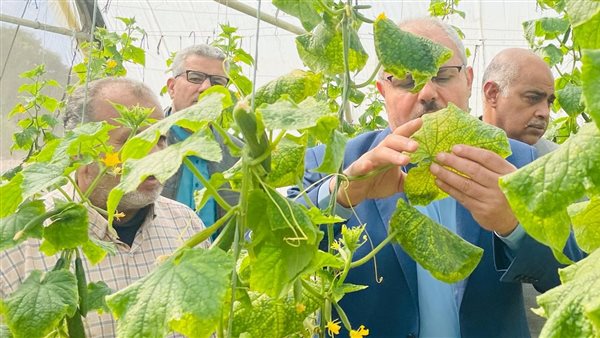 رئيس جامعة قناة السويس