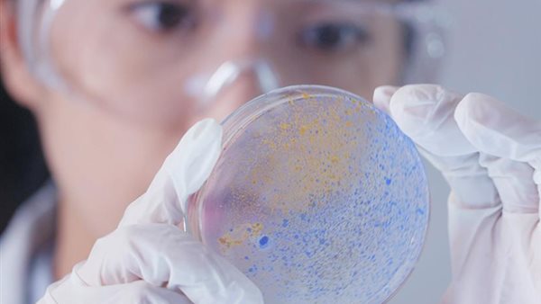  اليوم العالمي للمرأة