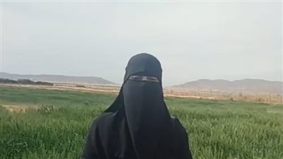 القمح يزين صحراء سيناء.. والمزارعون: استصلحنا أكثر من 700 فدان لزراعة القمح بأنواعه | بث مباشر