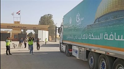 مصر ترسل أكثر من 90 شاحنة في معبر العوجة لإنهاء إجراءات التدقيق قبل الدخول إلى غزة
