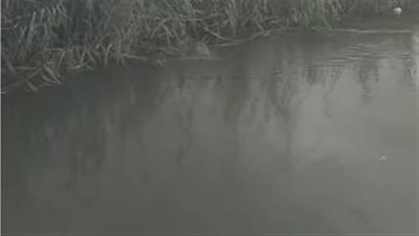 الرشاح-أرشيفية