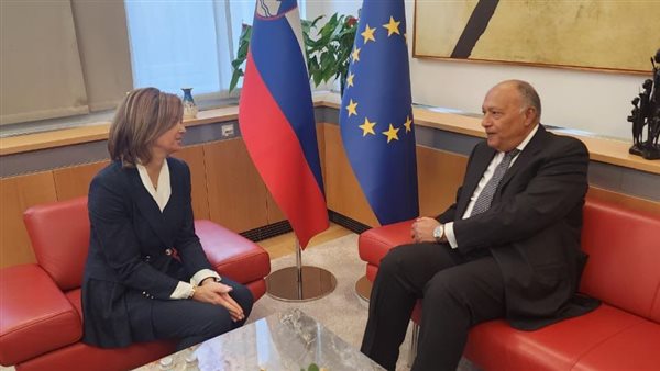 السفير سامح شكري