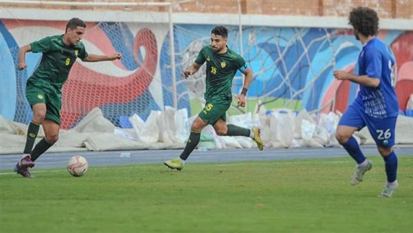 دوري المحترفين 