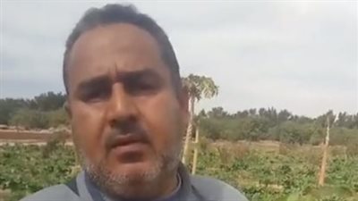 نجاح زراعة البنجر في طور سيناء.. والزراعة: علف غير مكلف| بث مباشر