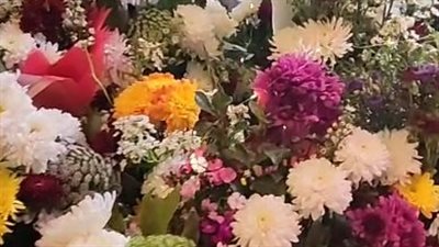 الأسعار تبدأ من 10 جنيهات.. إقبال على شراء الورود بالغردقة قبل عيد الحب| بث مباشر