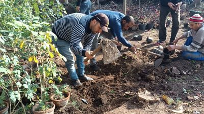 محافظ الغربية يتابع جهود الوحدات المحلية في زراعة أشجار مثمرة وأخرى للزينة بالقرى والمدن