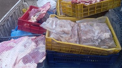 ضبط 400 كجم لحوم ودواجن غير صالحة.. وتحصين 183 ألف رأس ماشية بالمنوفية