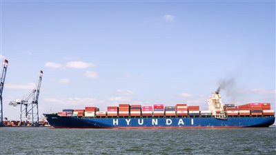 مصر تستقبل 5326 طن قمح من أوكرانيا عبر ميناء دمياط