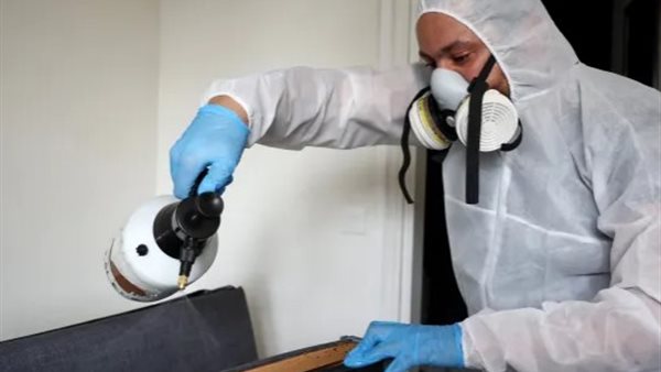 بق الفراش الاستوائي