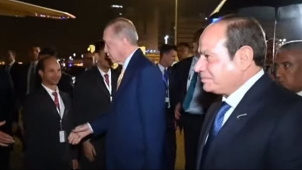 الرئيس السيسي وأردوغان
