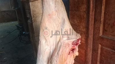 ضبط 557 كيلو لحوم غير صالحة للاستهلاك الآدمي بالمنيا