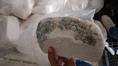 ضبط 400 كجم جبن موتزاريلا منتهية الصلاحية و2 طن ملح مجهول المصدر بالغربية 