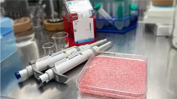 أرز حيواني مصنع في