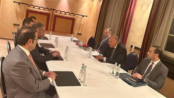 وزير الخارجية يلتقي