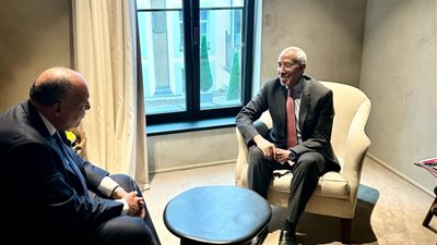 وزير الخارجية يحذر من مخاطر أي اجتياح إسرائيلي لرفح الفلسطينية 