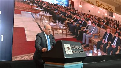 ‎وزير قطاع الأعمال: استغلال الخامات عبر صناعات تحويلية يحقق قيمة مضافة للسوق المحلي والتصدير 