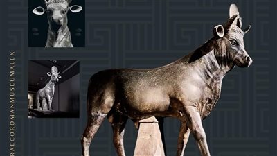 المتحف اليوناني الروماني يعرض تمثالا للعجل أبيس مصنوع من حجر الديوريت