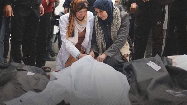 الحرب على غزة 