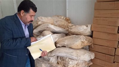 تموين المنيا تضبط 95 مخالفة متنوعة خلال حملات على المخابز البلدية والأسواق