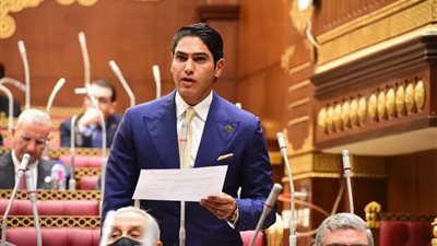 أحمد أبو هشيمة: حل التحديات الاقتصادية في الترويج للصناعات الجديدة وإنهاء المشكلات الحالية لتحقيق صادرات بـ 100 مليار دولار