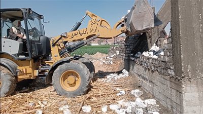 إزالات فورية لـ 43 حالة تعدٍ على أراضي زراعية وأملاك دولة بأسيوط