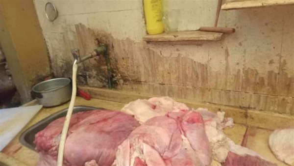 ضبط أحشاء غير صالحة