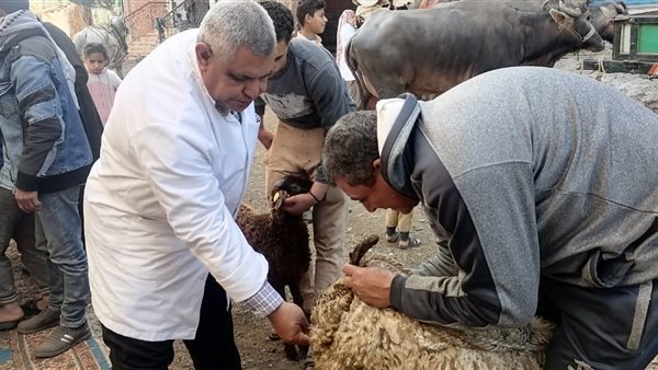 علاج 2608 حيوان وطائر