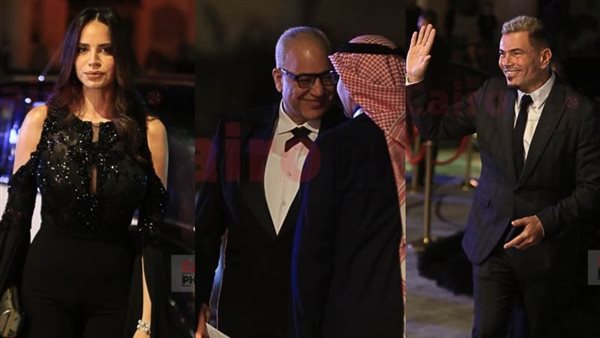 عمرو دياب وبيومي