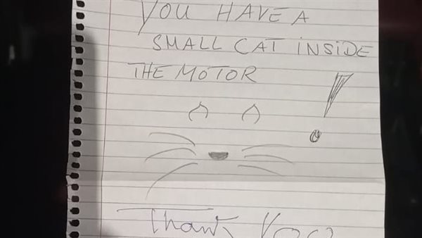 رسالة من سائحة بالإنجليزية