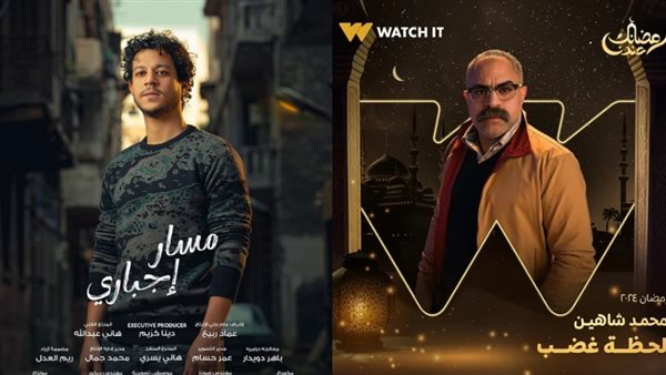 محمد شاهين وأحمد