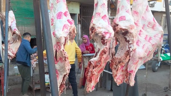 حملات تفتيشية بالمنيا