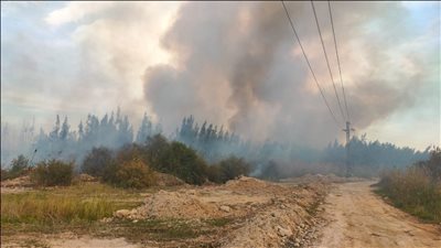 السيطرة على حريق داخل مزرعة محطة معالجة صرف الكولا بمحافظة سوهاج