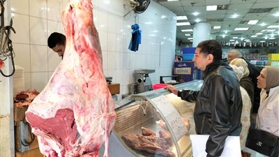 الكندوز وصل كام؟.. سعر اللحمة اليوم