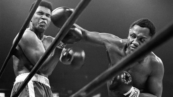 إحدى صور المصارع