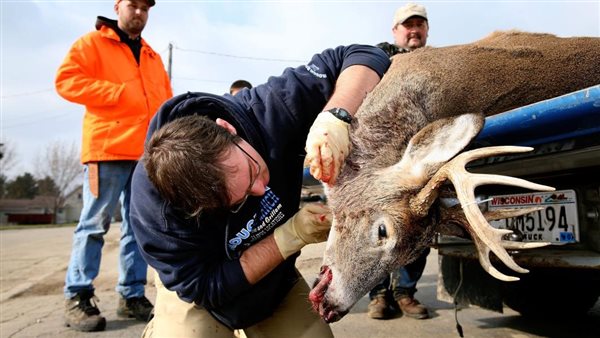 صورة تعبيرية 