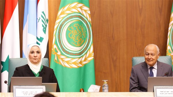 القباج وأبوالغيط