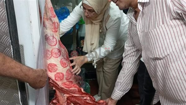 حملات تفتيشية بالمنيا